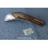 DAUPHINE CANTONALE ANTERIORE DX  SX 