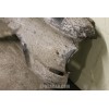 NSU PRINZ FRONT FENDER RH NOS