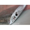 PORTIERA DESTRA GIULIETTA SPRINT RESTAURATA LUNGHEZZA PRESA ALL'ALTEZZA DELLA MANIGLIA CM 102,5