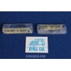 REVERSE PLASTICK DINO 246/308 Alfa GT