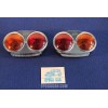 TAILIGHT / PLATE LIGHT PAIR