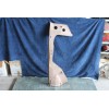 BETA COUPE'   FRONT LEFT FENDER   82347549