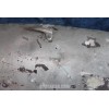 AURELIA  ?    USED REAR BONNET ALUMINIUM