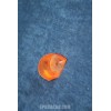 MINI 1 S. ORANGE RIGHT LUCAS