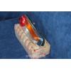 FULVIA SEDAN 1°S.   REAR RIGHT TAILIGHT  PLASTIC   ALTISSIMO