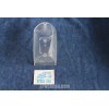 1800-2100-2300  CLEAR LENS FOR REAR LIGHT   BELLU'
