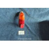 REAR LEFT LIGHT  CARELLO LENS IN MAP BODY