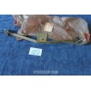 PIASTRA TERGI PER ALFASUD ORIG. ALFA 70020 NOS