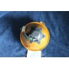 1600 BN FINO 04/77 FARO SX CARELLO 170mm DIAM